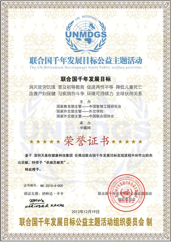 Certificate of Honor of UN Millennium Development Goals
